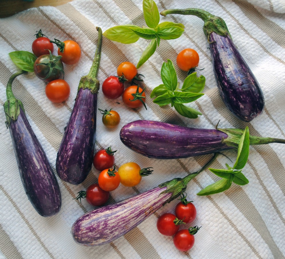 Eggplant Caprese Bites 1