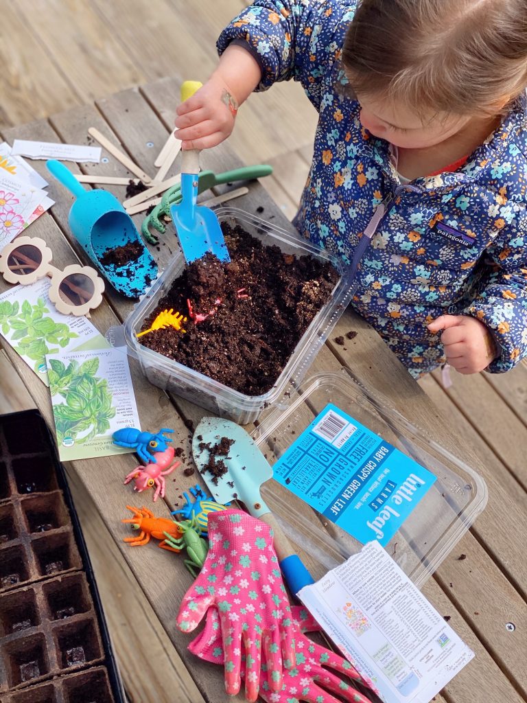 Kids Activities with Upcycled Lettuce Containers. - DomestikatedLife