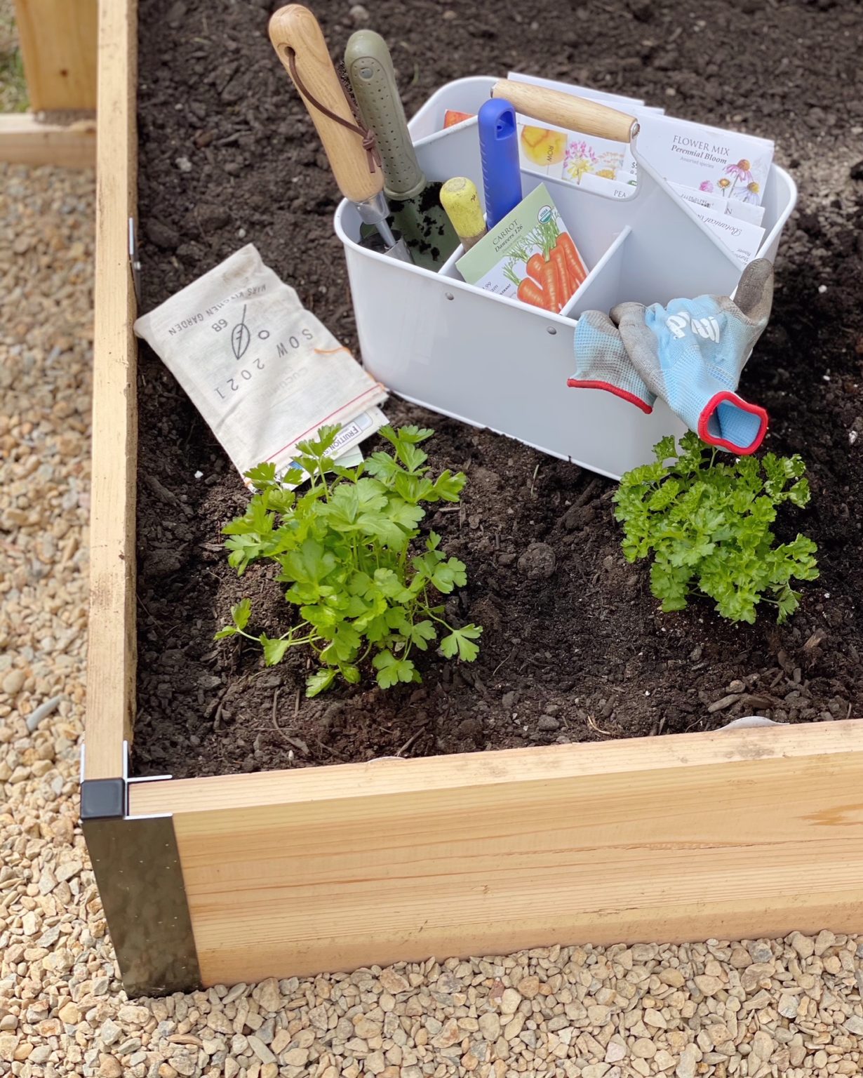 New Veggie Garden FAQ. - DomestikatedLife