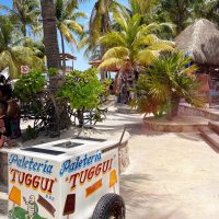 A Trip to Unico 2087 Resort in Riviera Maya, Mexico.